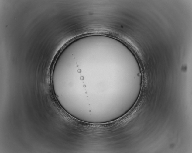 X0000100870883200806200900