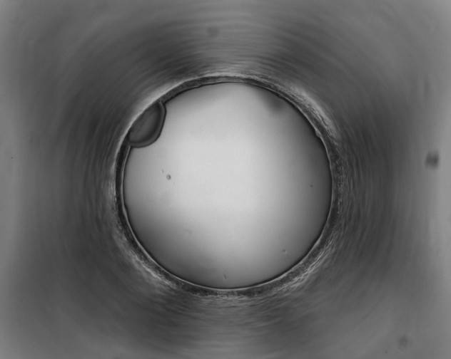 X0000100870884200806200900