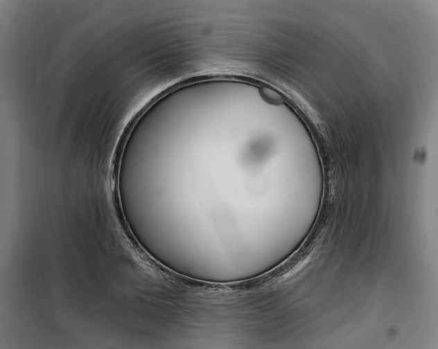 X0000100870885200806200900