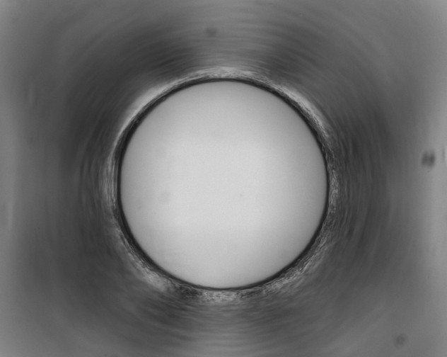 X0000100870886200806200900