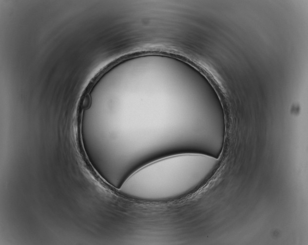X0000100870888200806200900