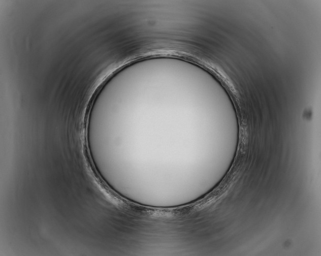 X0000100870890200806200900