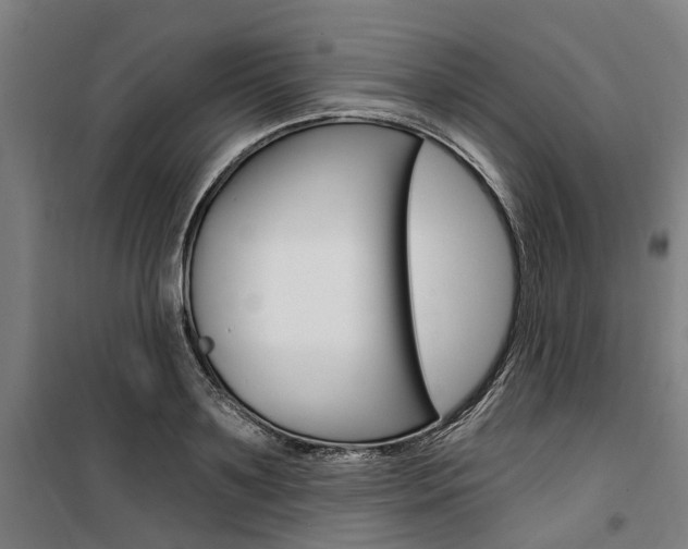 X0000100870891200806200900