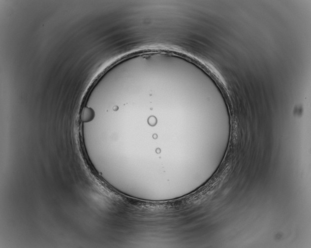 X0000100870895200806200900