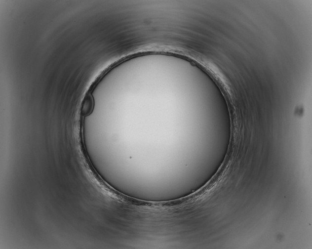 X0000100870896200806200900