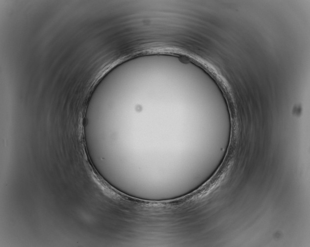 X0000100870897200806200900