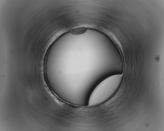 X0000100870898200806200900