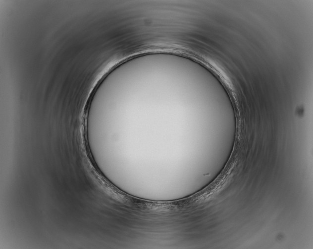 X0000100870899200806200900