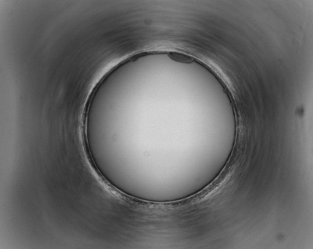 X0000100870901200806200900