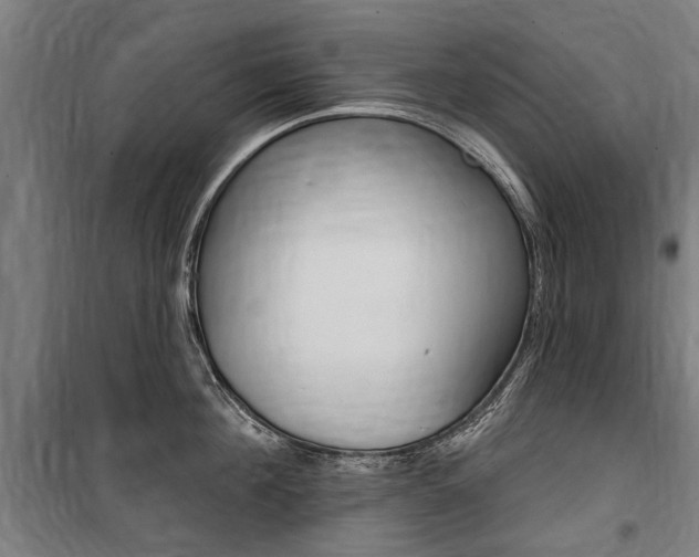 X0000100870908200806200900