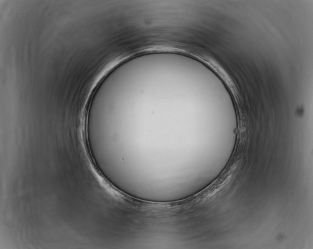 X0000100870909200806200900