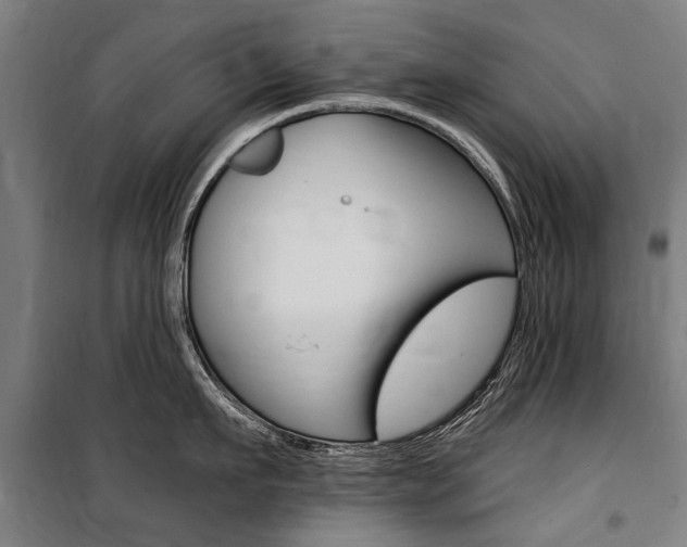X0000100870911200806200900