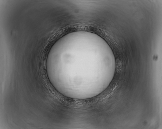 X0000100870913200806200859
