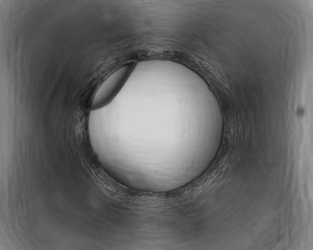 X0000100870914200806200859