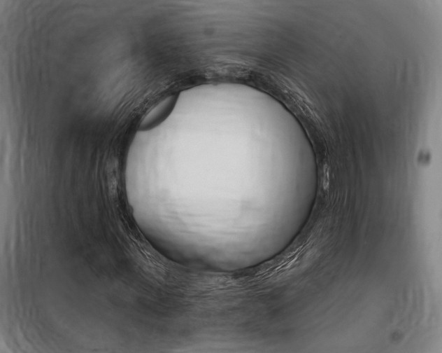 X0000100870915200806200859