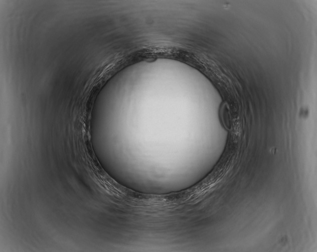 X0000100870916200806200859