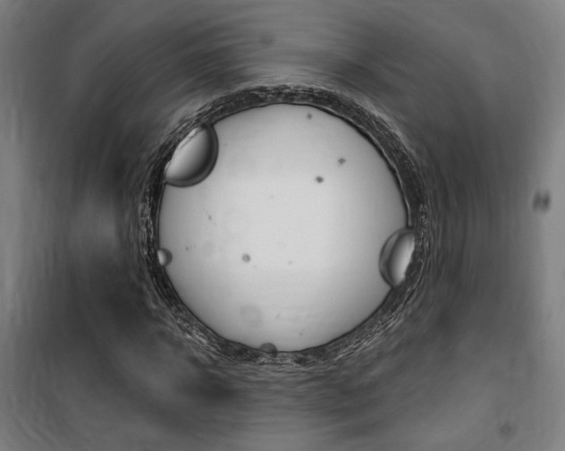 X0000100870918200806200859