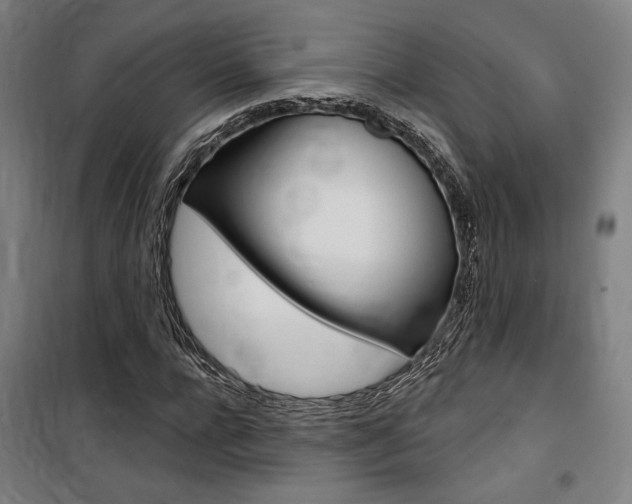 X0000100870920200806200859