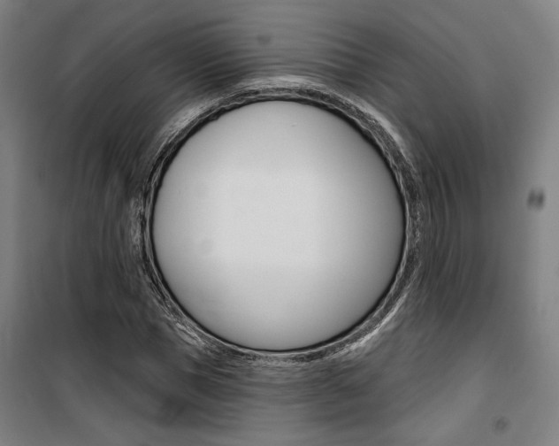 X0000100870921200806200859