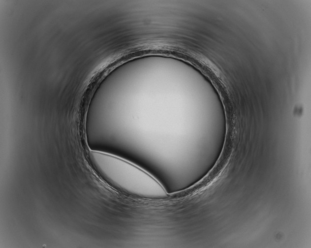 X0000100870922200806200859