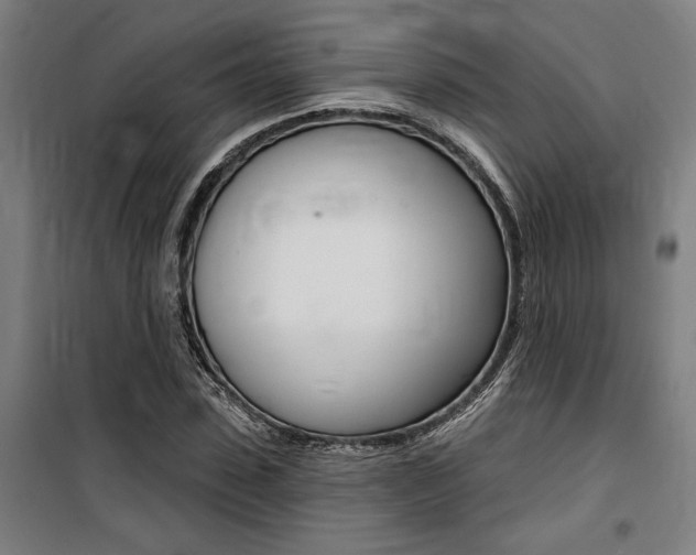 X0000100870923200806200859