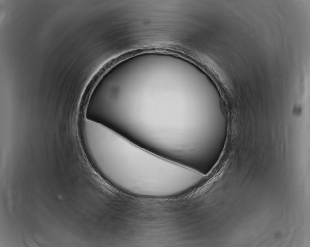 X0000100870924200806200859