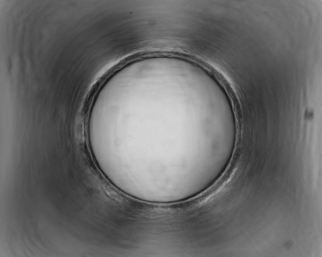 X0000100870925200806200859