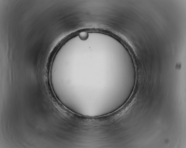 X0000100870927200806200859