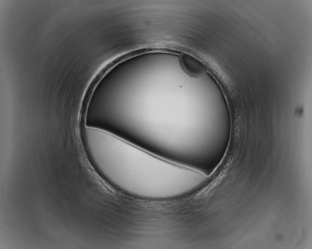 X0000100870932200806200859