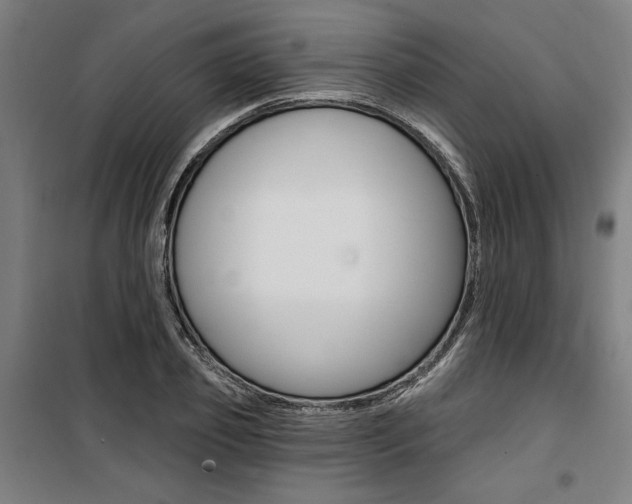 X0000100870933200806200859
