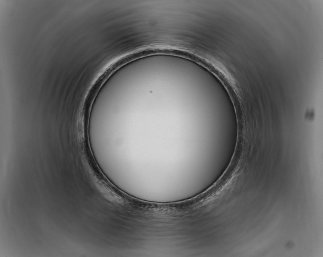 X0000100870934200806200859
