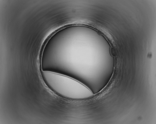 X0000100870936200806200859