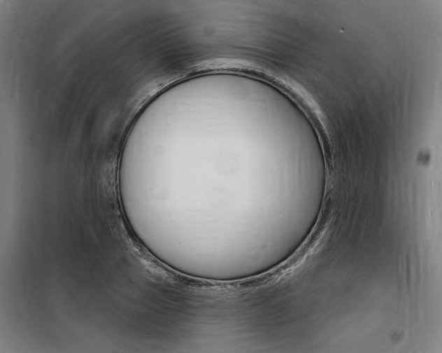 X0000100870937200806200859