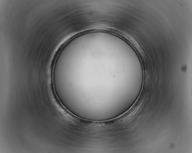 X0000100870939200806200859