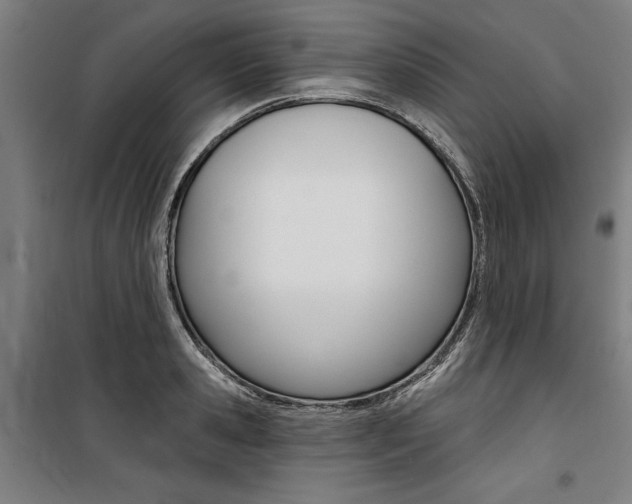 X0000100870941200806200859