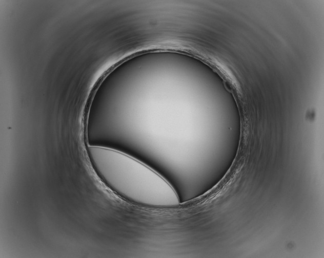 X0000100870944200806200900