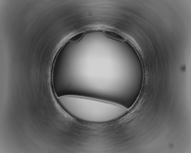X0000100870946200806200900