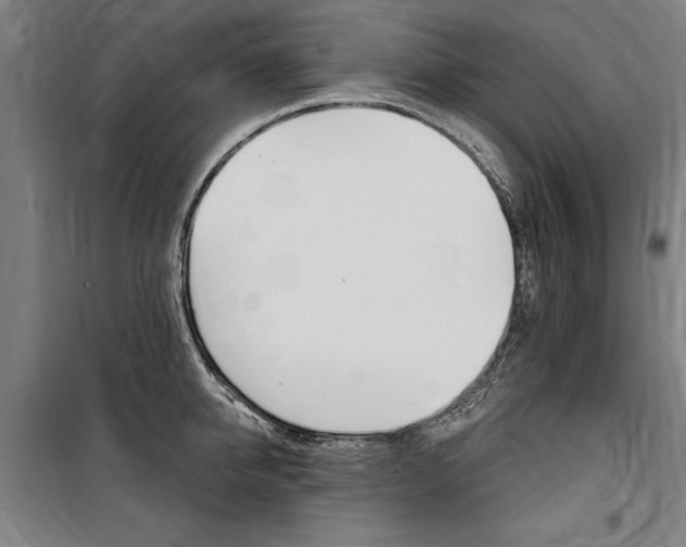 X0000100870950200806200900