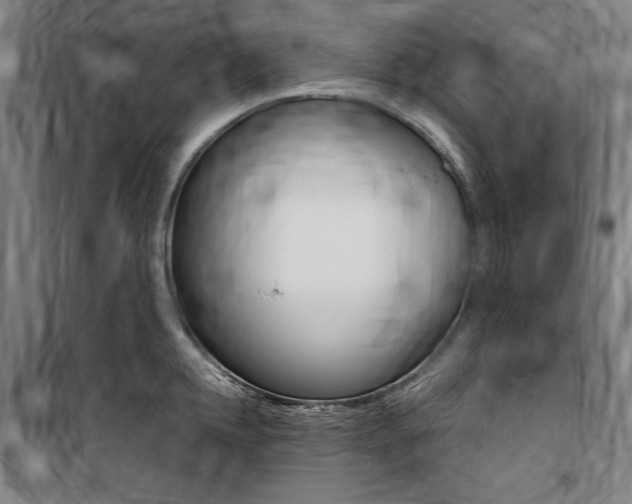 X0000100870952200806200900