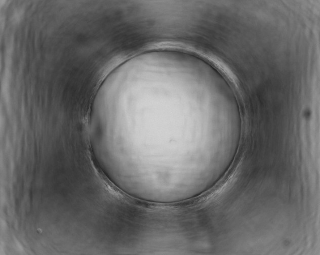 X0000100870953200806200900
