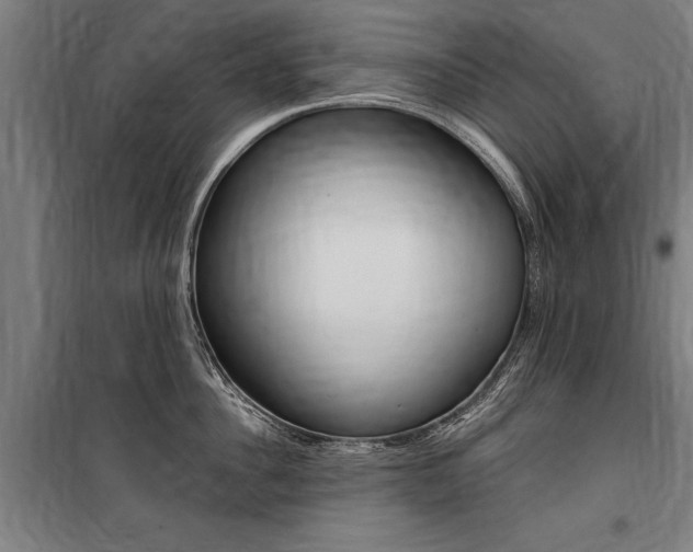 X0000100870956200806200900