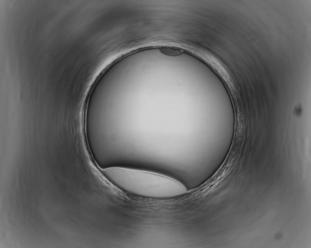 X0000100870958200806200900