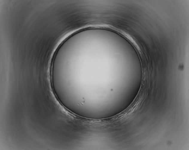 X0000100870959200806200900