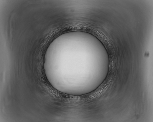 X0000100870961200806200859