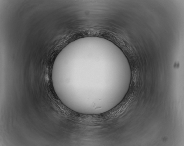 X0000100870962200806200859
