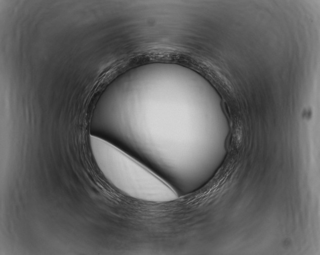 X0000100870964200806200859