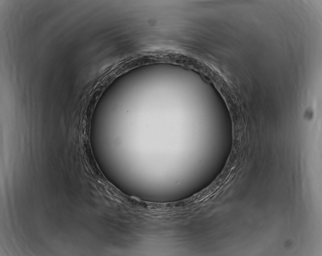 X0000100870965200806200859