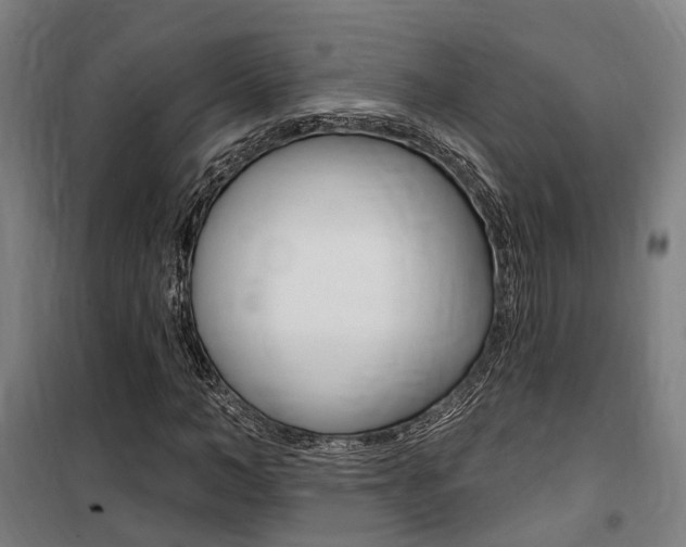 X0000100870966200806200859