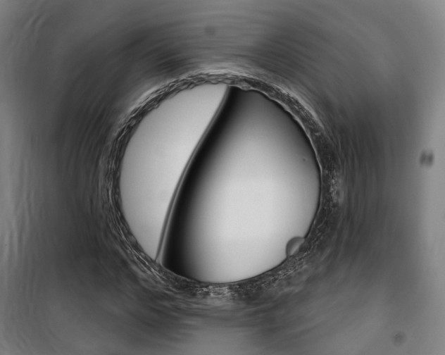 X0000100870968200806200859