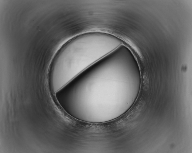 X0000100870972200806200859